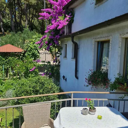 Apartment Ljiljana Pula