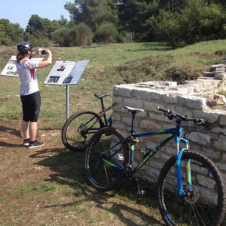 Apartment Ljiljana *