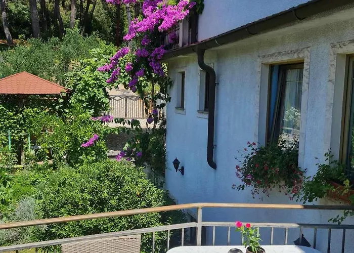 Lejlighed Ljiljana Pula